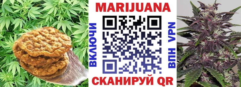 Canna-Cookies марихуана  Купить где  Калачинск 