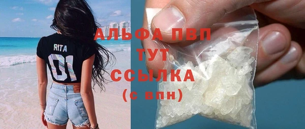 шишки Инсар