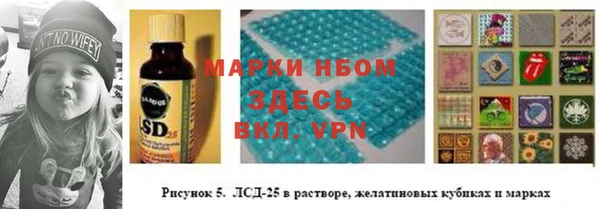 стаф Иннополис