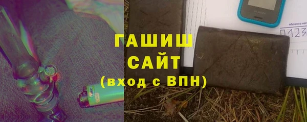 шишки Инсар