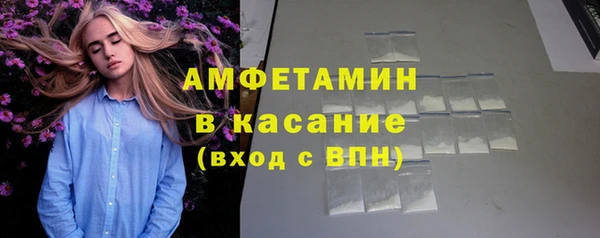 шишки Инсар