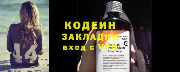шишки Инсар