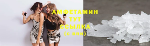 твердый Инта