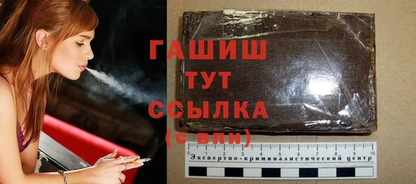 твердый Инта