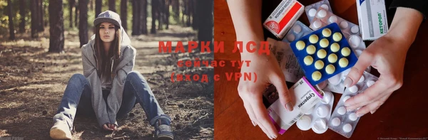стаф Иннополис