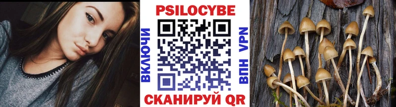 Купить где  Калачинск  Псилоцибиновые грибы ЛСД 